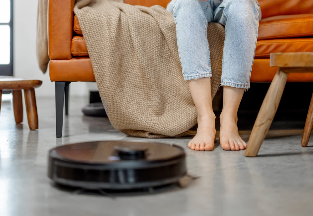 robot vacuum cleaner for hardwood floors